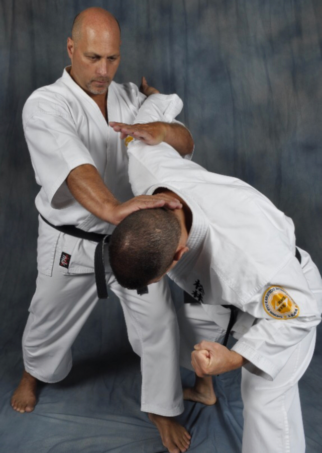 Karate Grand Master 9th Degree Black Belt Master Instructor Takeshi