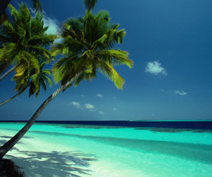 Press Release - Swinglifestyle & Trapeze Offer Resort Giveaway