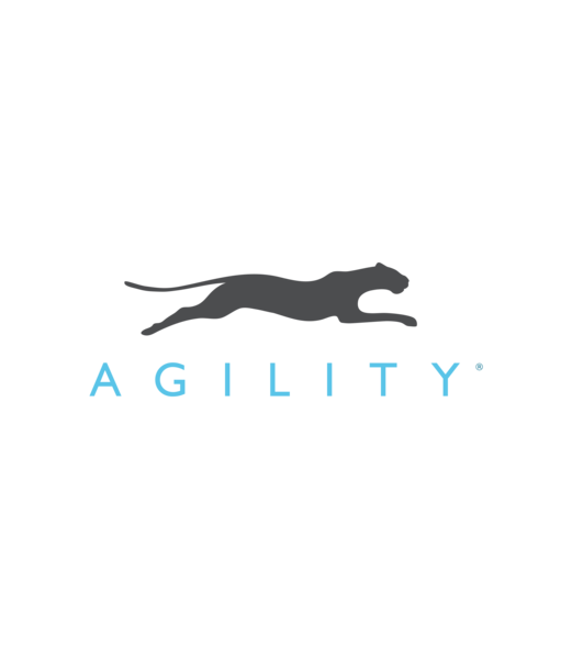 Agility Inc. Turns 15