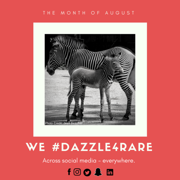Small Non-Profit Will #Dazzle4Rare with Organizations and Advocates from Around-the-World to Promote Wider Rare Disease Awareness