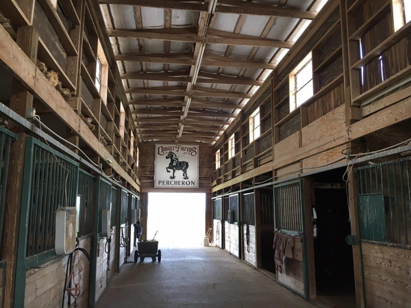 Rent an Office in a Horse Stall