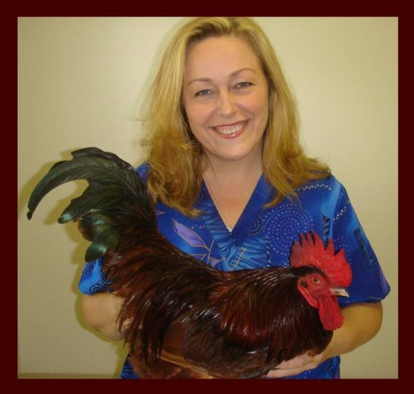 Premiere Lutz/Land O' Lakes Veterinarian, Deborah L. Sullivan DVM and