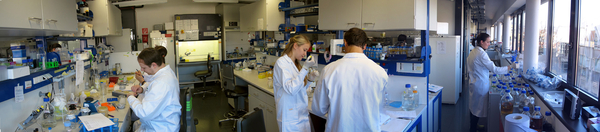 The Austrian Centre of Industrial Biotechnology (acib) Develops New Key ...