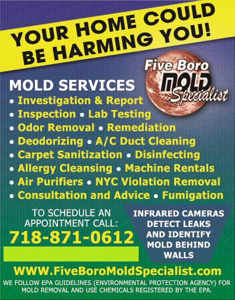 Top Mold & Mildew Remediation Companies - Clutch.co