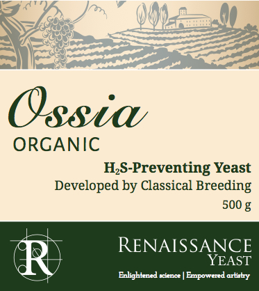 Renaissance Yeast Introduces Ossia Organic Wine Yeast For White