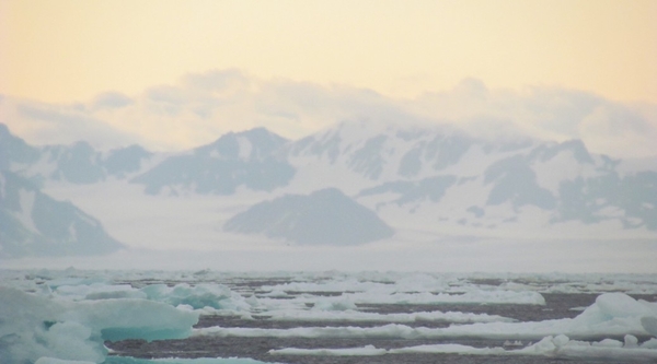 Ocean Raptors Expedition Arctic Ocean Raptor
