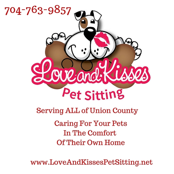 pet sitting company
