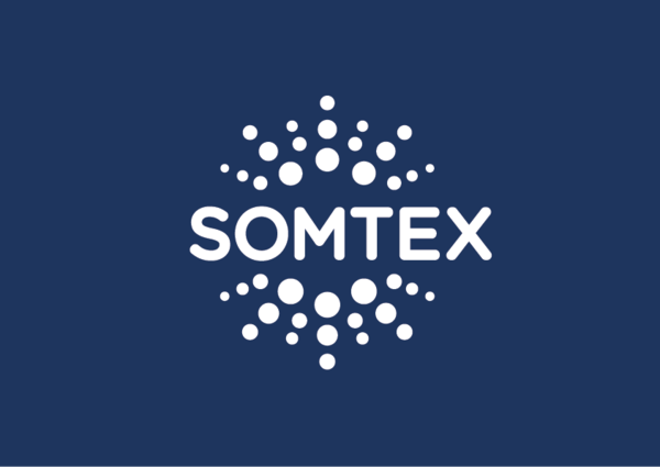 somtex split cell mattress review