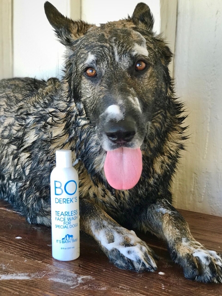 bo derek dog shampoo