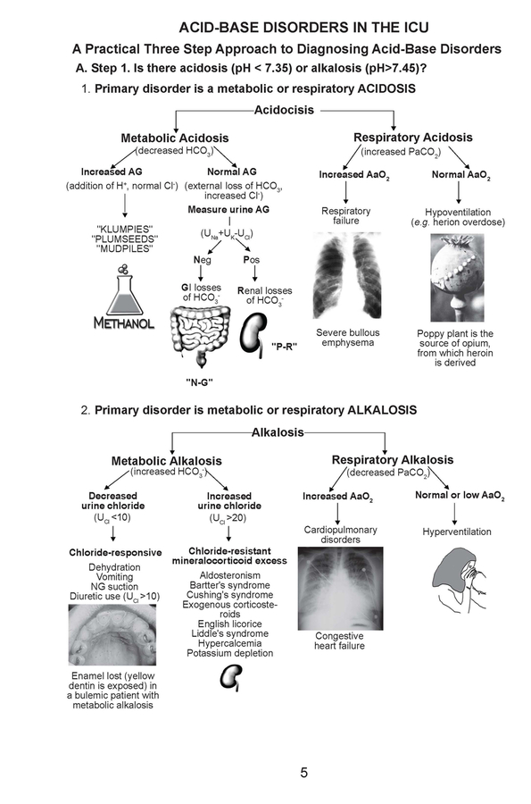 Bedside Critical Care Manual Essential Guide For Intensive Care