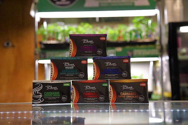 Harbor Collective MMCC Launches New site & Online Tools for