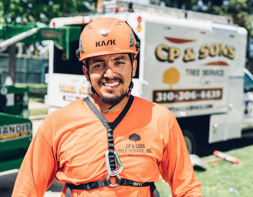 Tree Trimming Los Angeles Experts At CP & Sons Tree Service Are Known For Improving Trees' Health