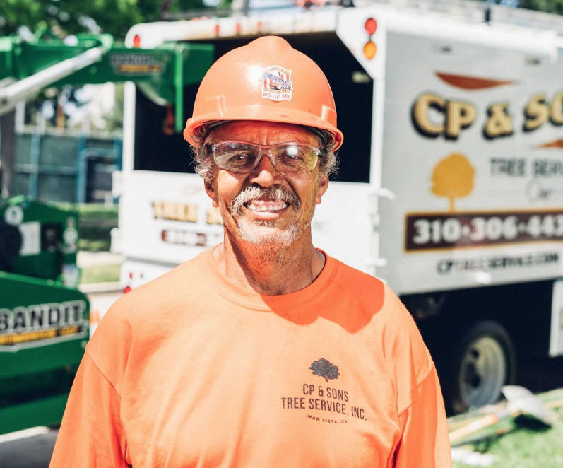 Tree Trimming Los Angeles Experts At CP & Sons Tree Service Are Known