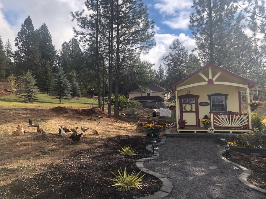 Green Bluff's Newest Addition, Sunshine Farm, Offers Garlic, Black