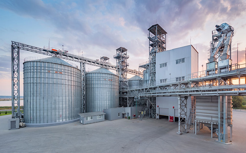 The Sunflower Oil Manufacturer That Really Cares About Your Health