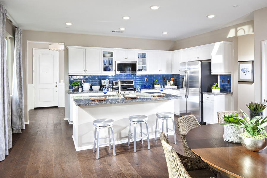 New Singlestory Homes on Large Home Sites Now Selling at Pardee's