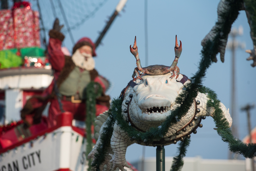 Cajun Christmas Pictures 