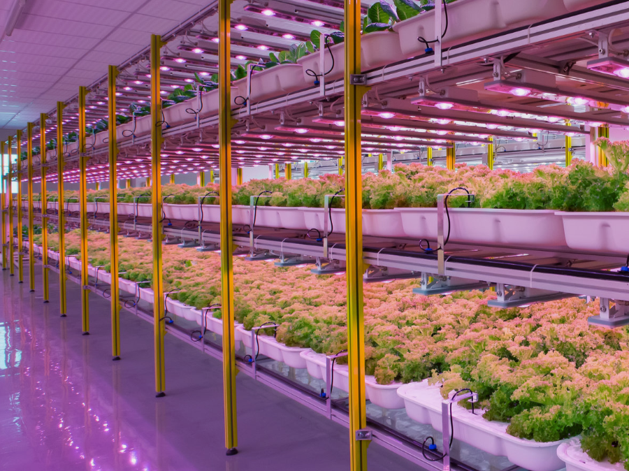 HYVE® Indoor Farming Systems to be Featured on Virginia Farming Show