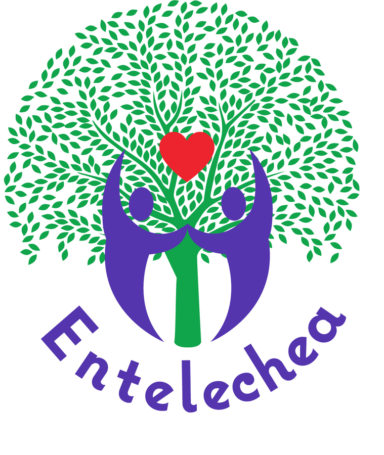 Entelechea Center Opens to Meet DallasFort Worth's Holistic Needs