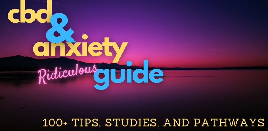 CBD and Anxiety – the Ridiculous Guide