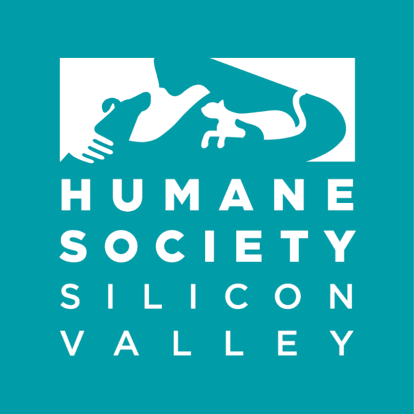 Petco Foundation Invests $250k in Humane Society Silicon Valley