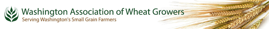 Wheat Growers Take On Washington D.C. and National Policy