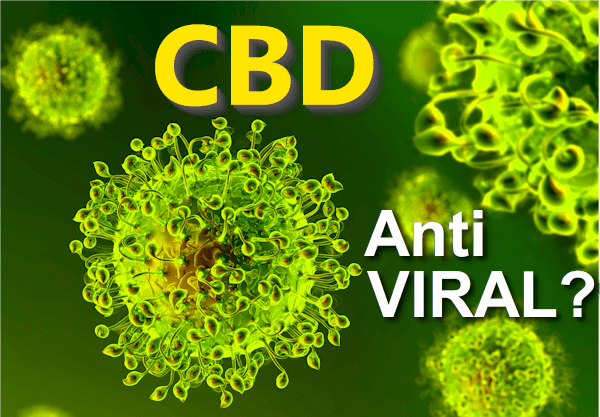 Is CBD an Anti-Viral for Coronavirus, SARS, MERS, and Influenza?