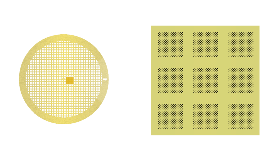 Protochips Announces Immediate Availability of Gold Palladium Alloy Grids for Cryo-Electron Microscopy