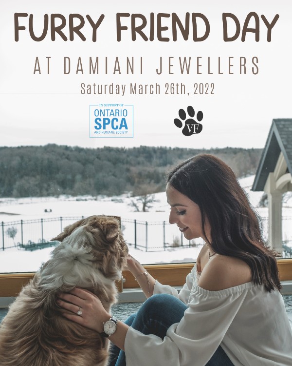 Damiani Jewellers Raised Money on ‘Furry Friend Day’ for the Ontario SPCA