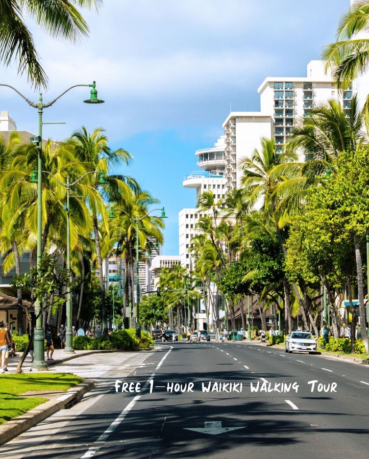 Tropical Hawaiian Tours Launches A New Free 1-Hour Walking Tour Of The Waikiki Area