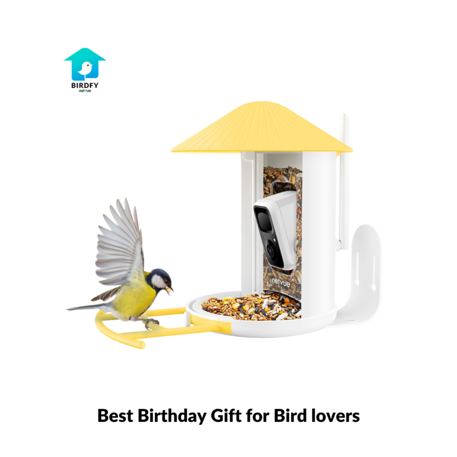 Best Birthday Gift for Bird lovers
