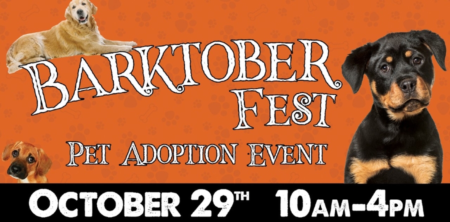 Barktober Fest Pet Adoption Event at Huntington Fine Jewelers