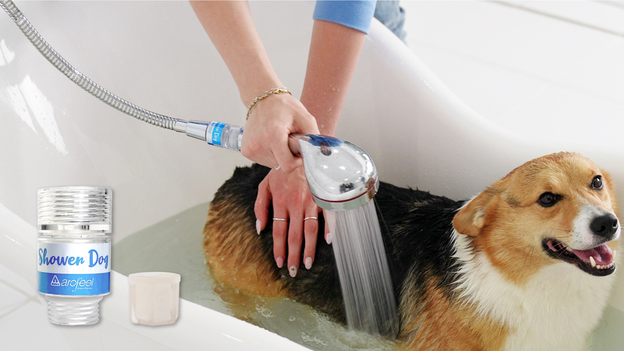 The Shower Filter Exclusively for Dogs, Now Available on Kickstarter
