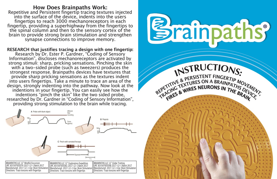 Brainpaths Devices – Filling a Gap in the Neurological Health Sector through Brain-Stimulating Devices