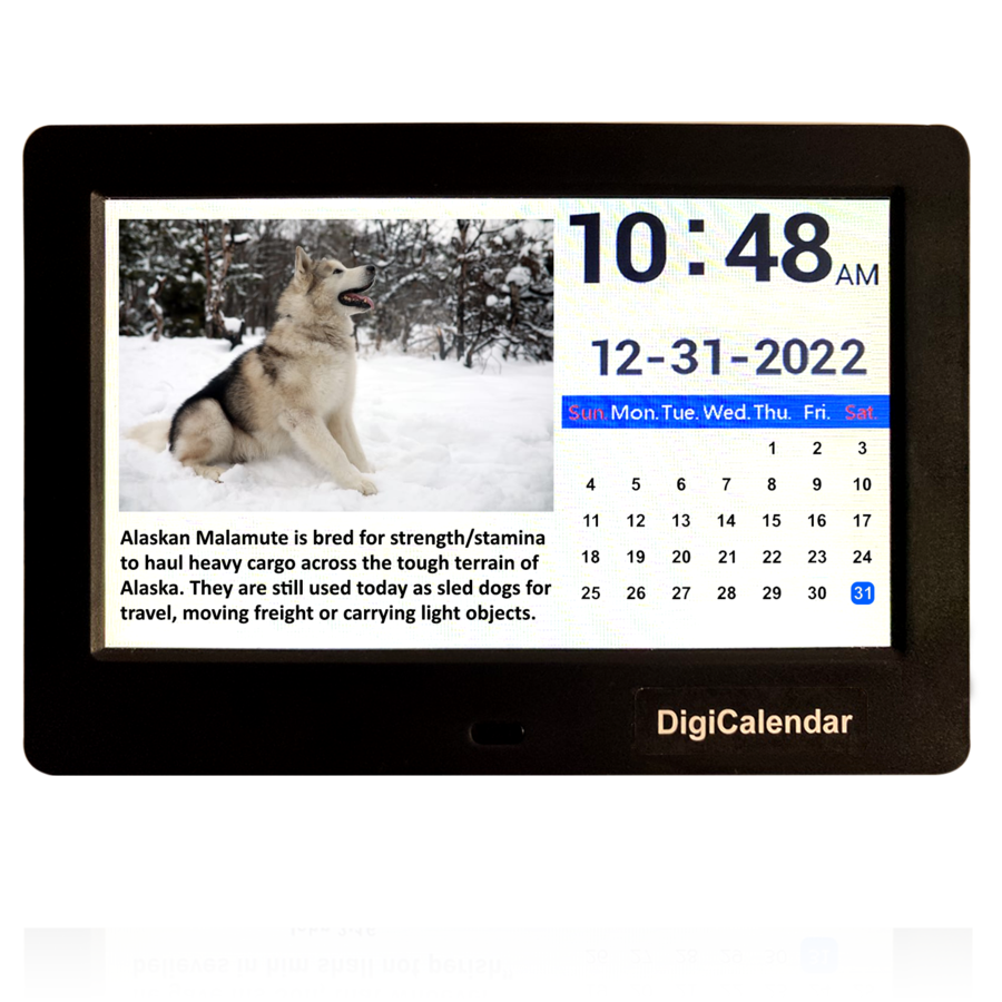 DigiCalendar is announcing the 1st Digital Day to Day Dog Calendar
