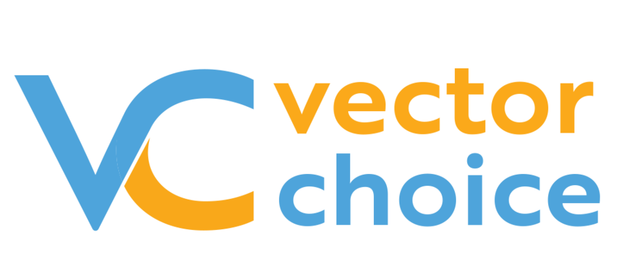 Vector Choice and Bazar Solutions Merge to Create a Leading Provider of IT Solutions, Vector Choice Technologies, LLC