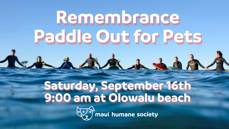 Maui Humane Society to hold ‘Tribute Paddle-Out for Pets’ Sept. 16 for pets and families affected by fire disaster
