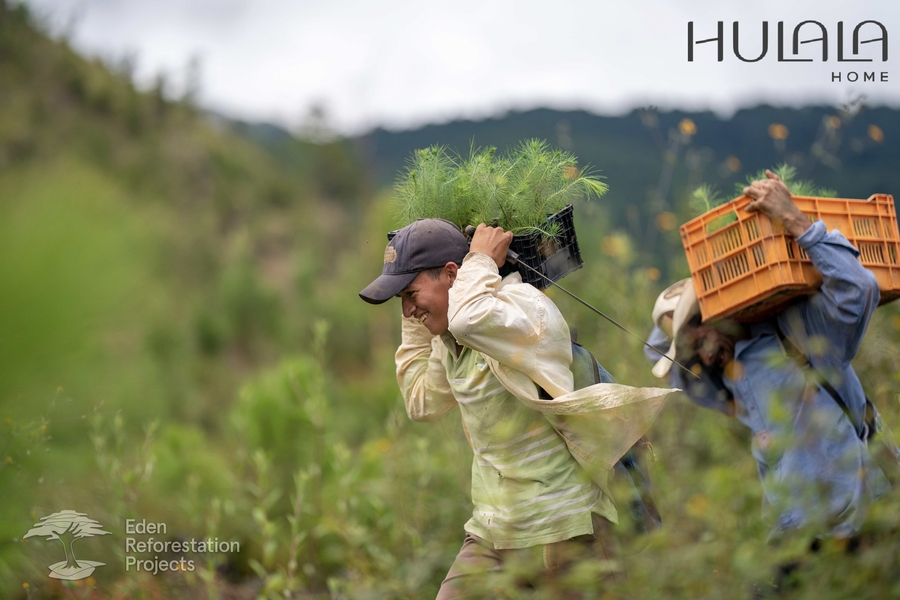 Hulala Home Partners with Eden Reforestation Projects to Green the Globe