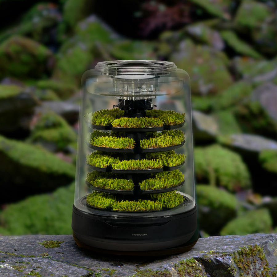 Natural Moss Terrarium “Petite Foret Plus” Launches on Kickstarter