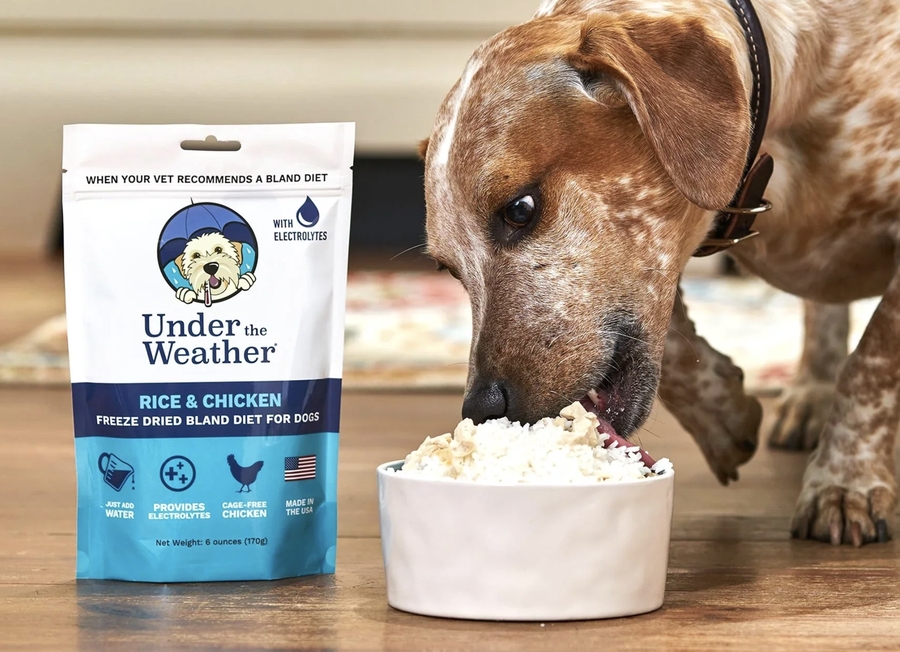 Under the Weather Pet Unveils New First-Aid and Wellness Products for Pets