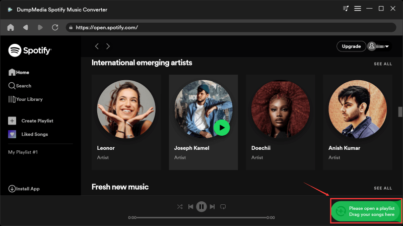 Unlock Offline Enjoyment: DumpMedia Spotify Music Converter