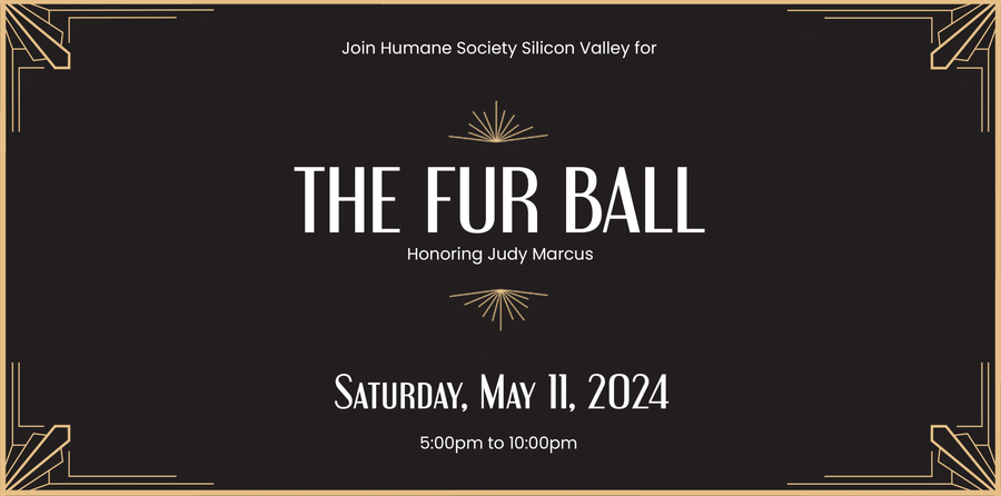Humane Society Silicon Valley’s 2024 Fur Ball Celebrates Judy Marcus for her Indelible Contributions to Animal Welfare