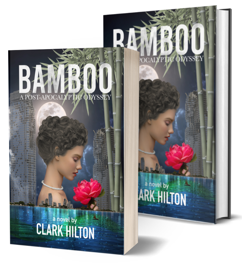 Schools and Libraries: Coming-of-Age Climate Novel “BAMBOO: A Post-Apocalyptic Odyssey” Hardback Now Available