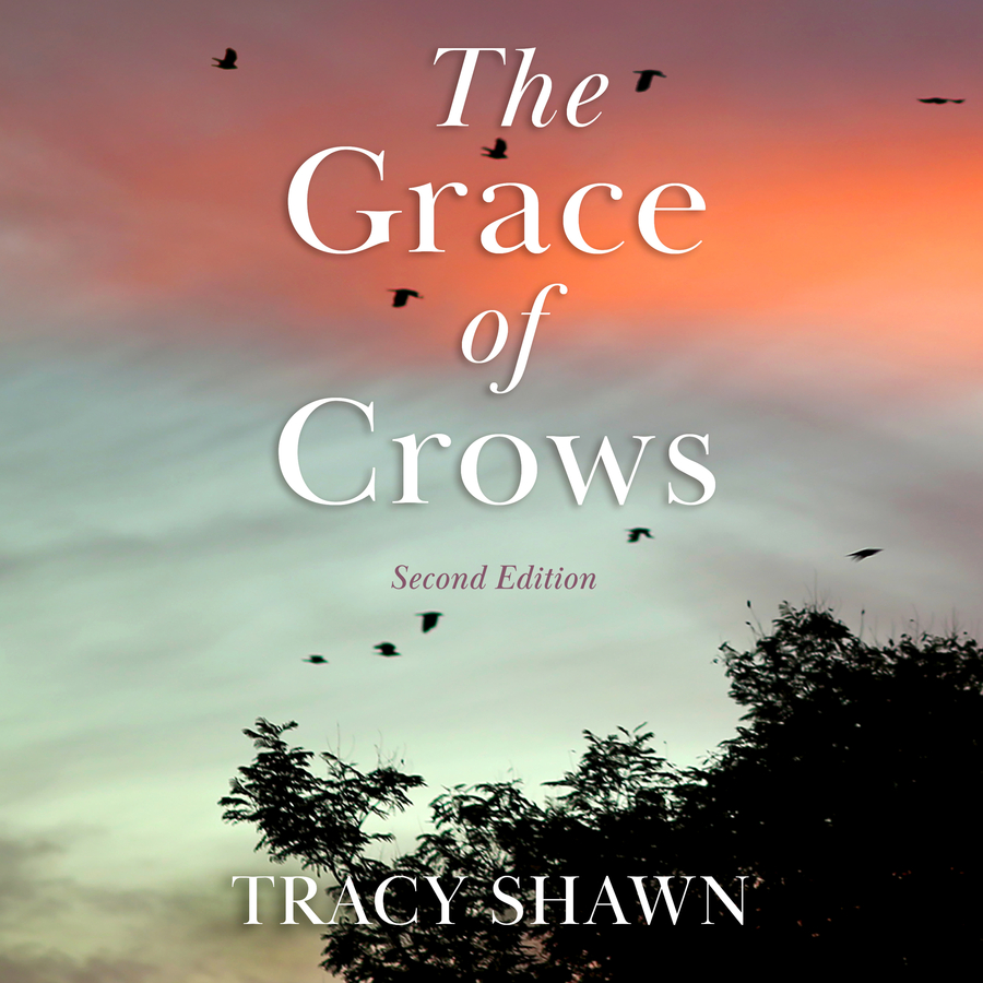 Recently Published: The Grace of Crows, Second Edition, A Novel that Sheds Light on Anxiety and Fear