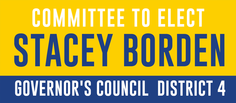 Stacey Borden Secures Spot on Ballot for Governor