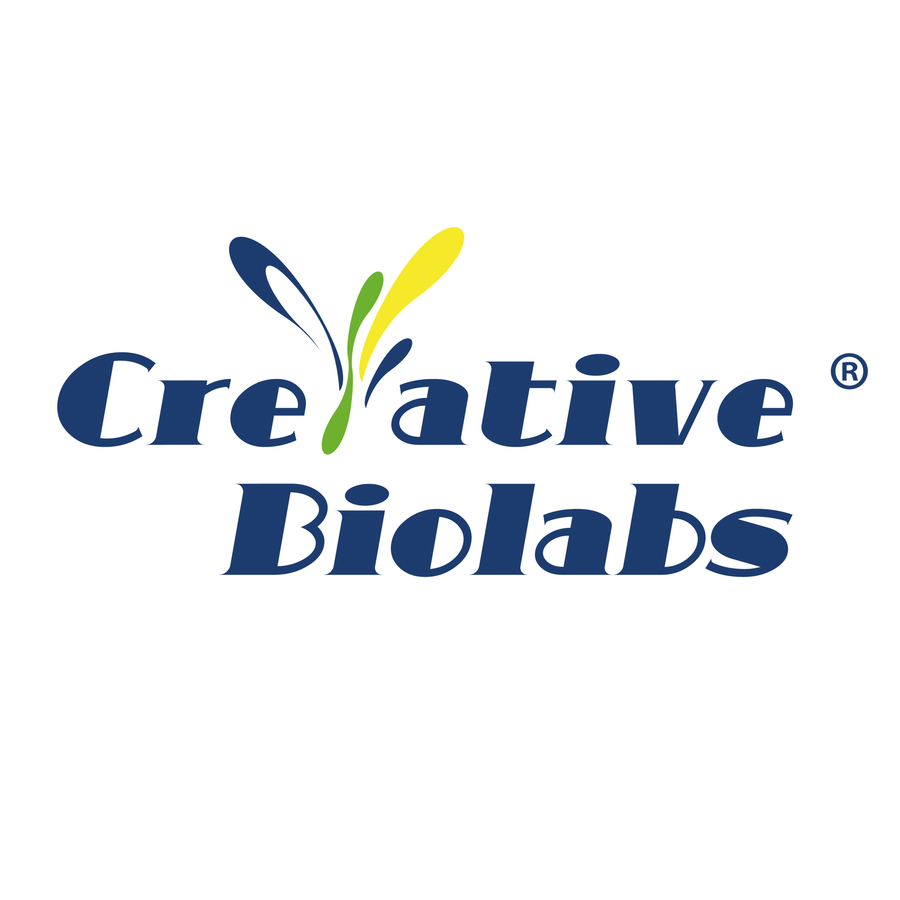 Creative Biolabs Powers New Momentum in CAR-T Therapy Research