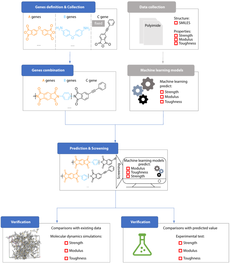 AI-driven genome strategy accelerates design of ultra-tough polyimide films