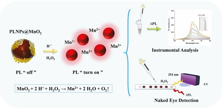 Persistent luminescence nanoprobes bring rapid on-site H₂O₂ monitoring
