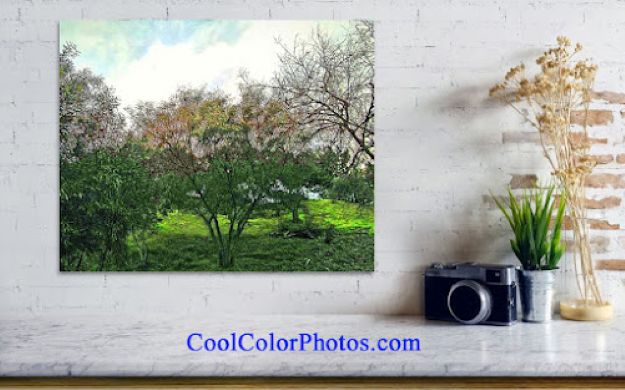 CoolColorPhotos — Fast, Free, Effective Wellness Benefit