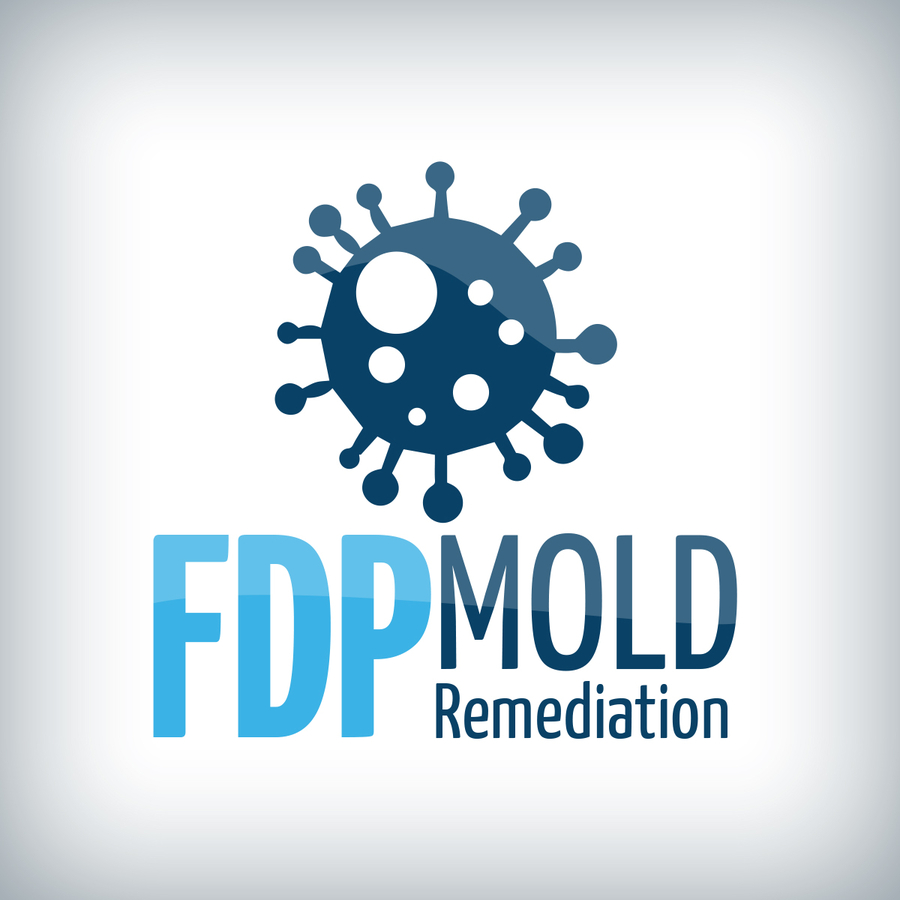 FDP Mold Remediation Encourages Property Owners to Prepare for Rising Spring Humidity